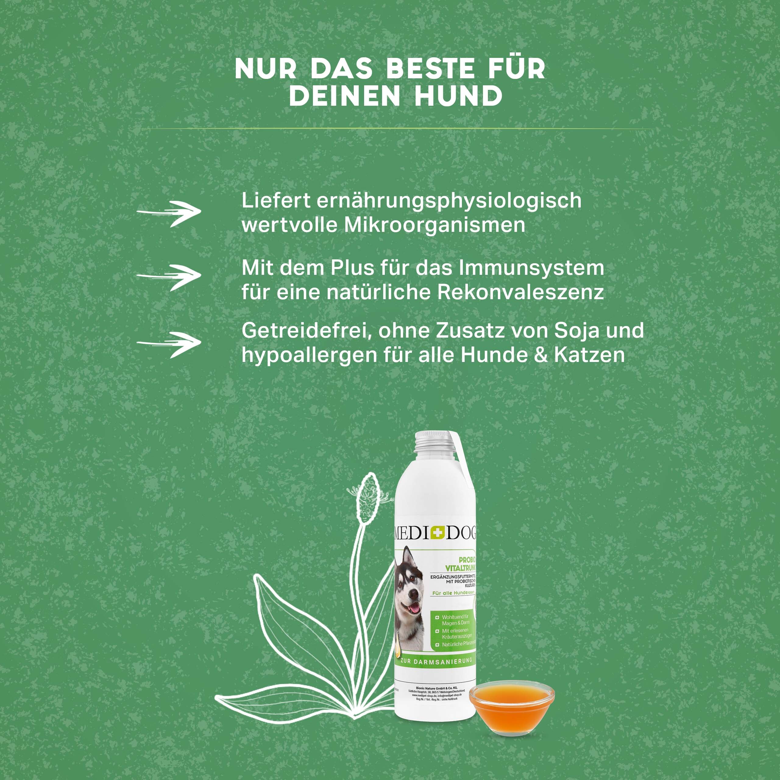 MediDog Ergänzungsfutter & Aufzucht MediDog Probio Vitaldrunk