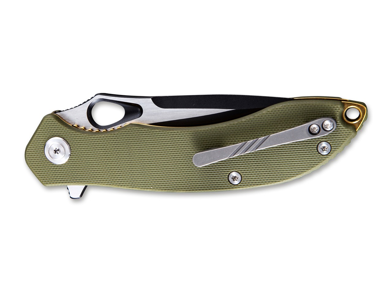 Aquila Green