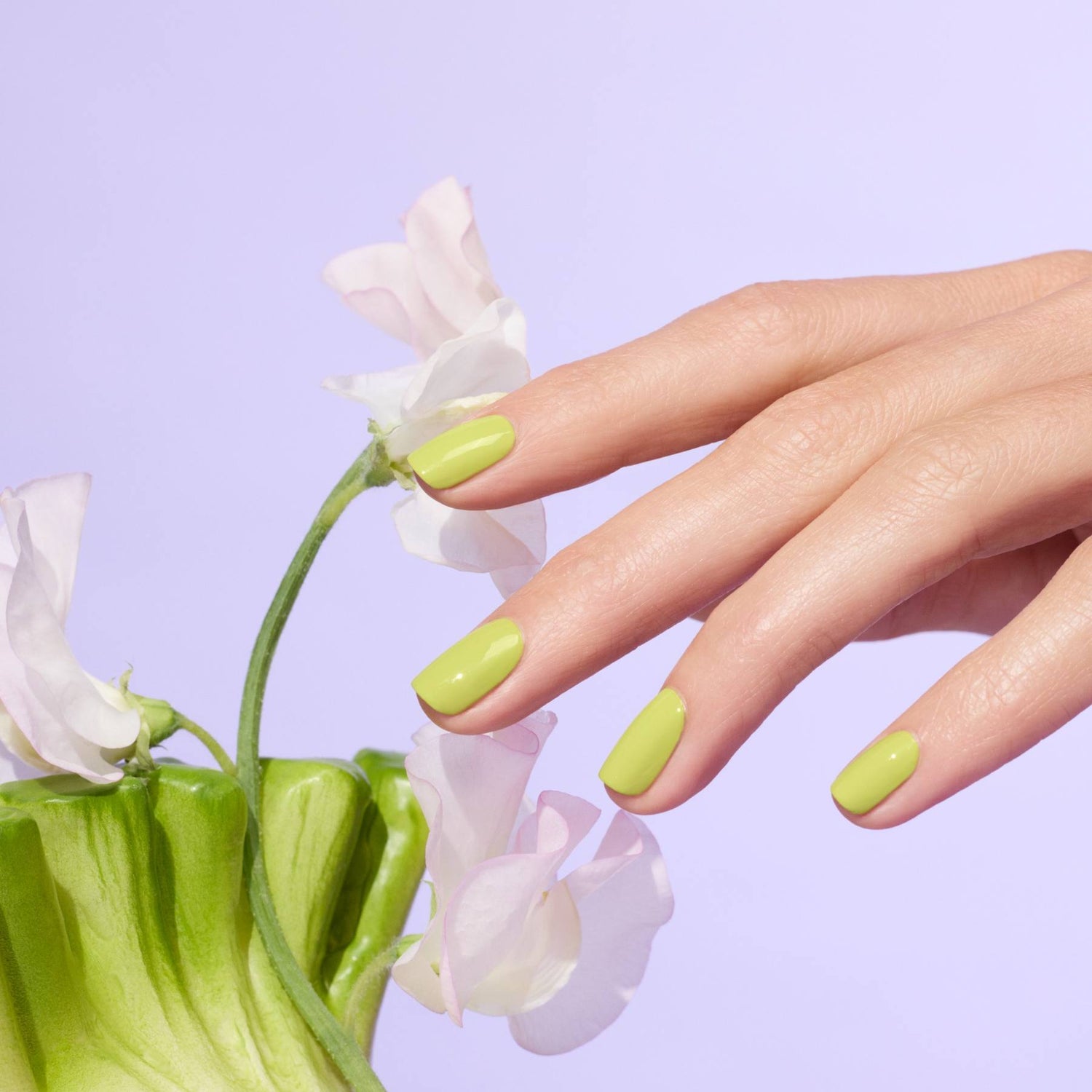 Limeta