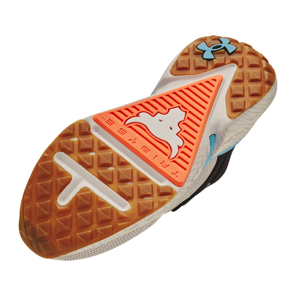 Under Armour Project Rock 5 3025435-103 / grau