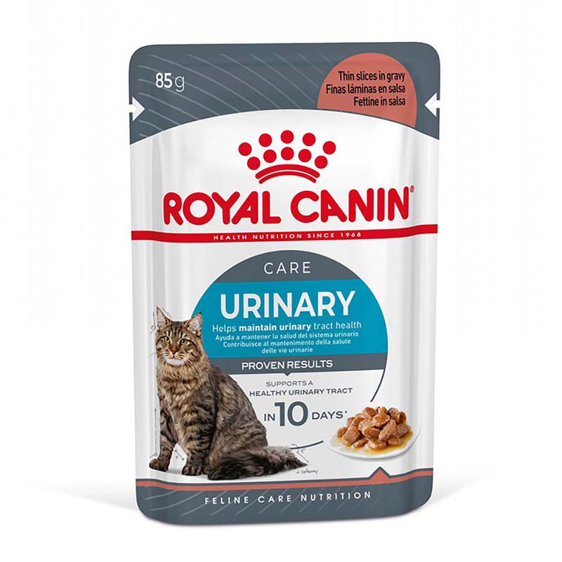 Sparpaket Royal Canin Pouch 24 x 85 g zu TOP-Preisen | bitiba %
