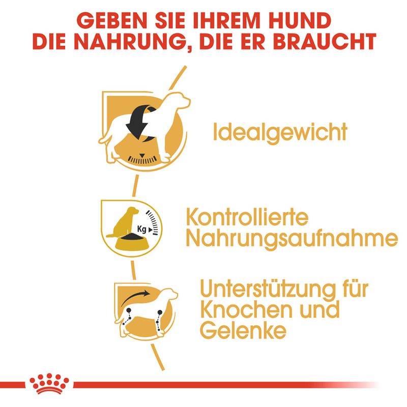 Royal Canin Beagle Adult zu TOP-Preisen