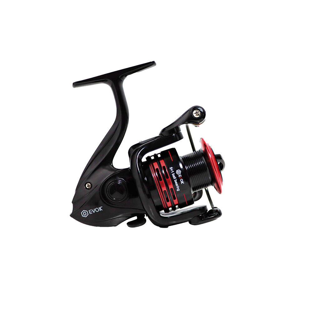 Rola Evok Qualium 2500 FD