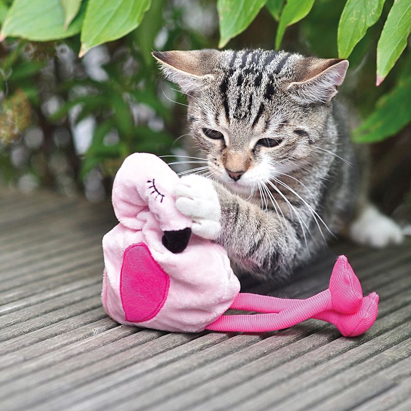 Aumüller Flamingo Pinky mit Baldrian und Dinkelspelz zu TOP-Preisen