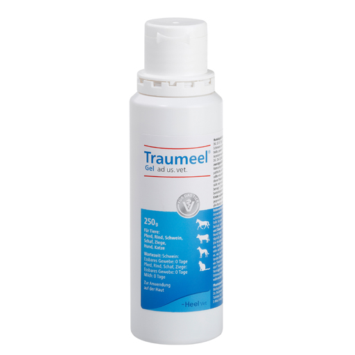 TRAUMEEL Gel ad us.vet.  1X250 g  Gel