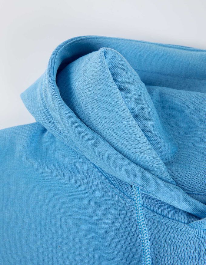 Hoodie - Rick and Morty