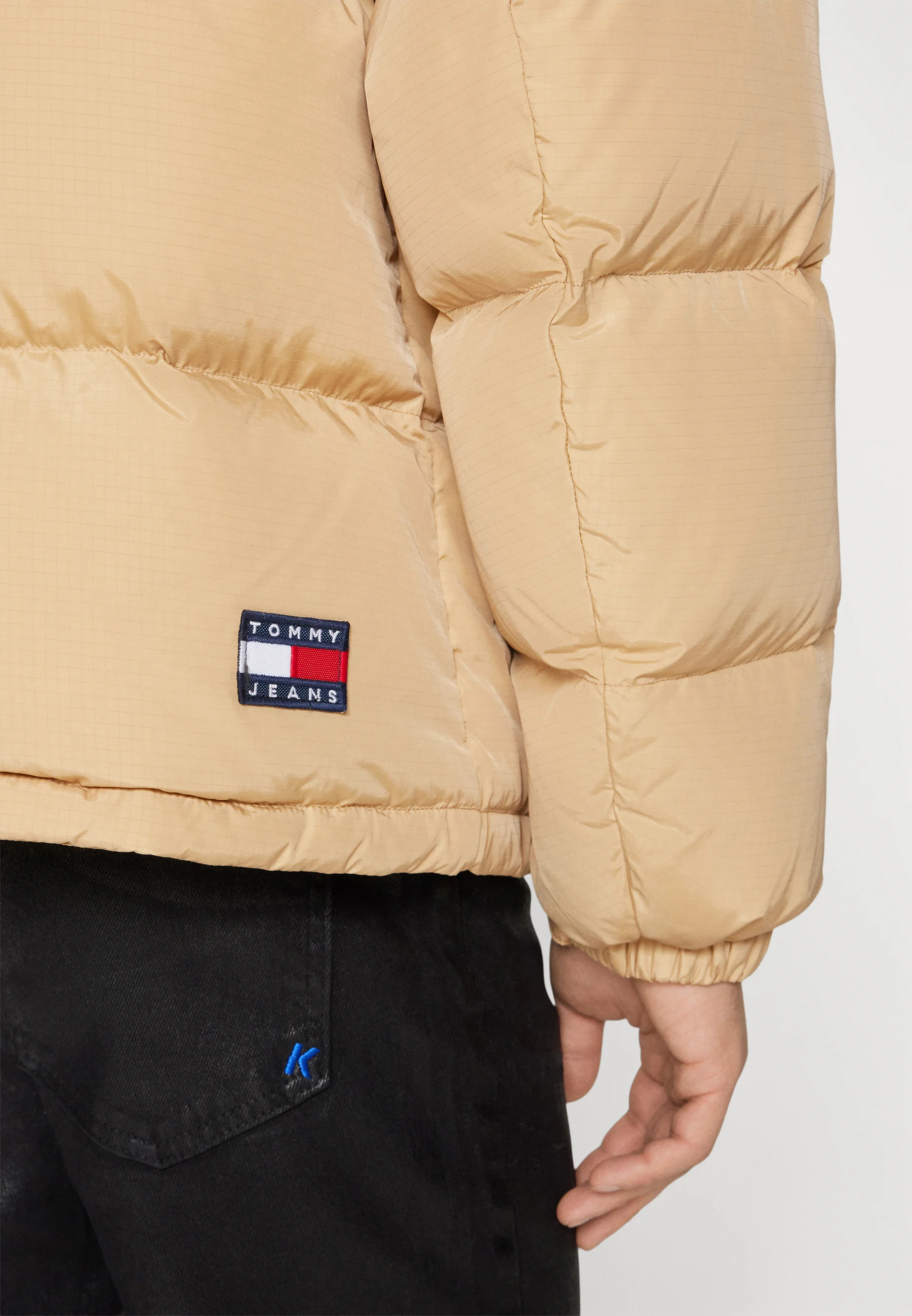 Tommy Jeans ALASKA - Chaqueta de plumas