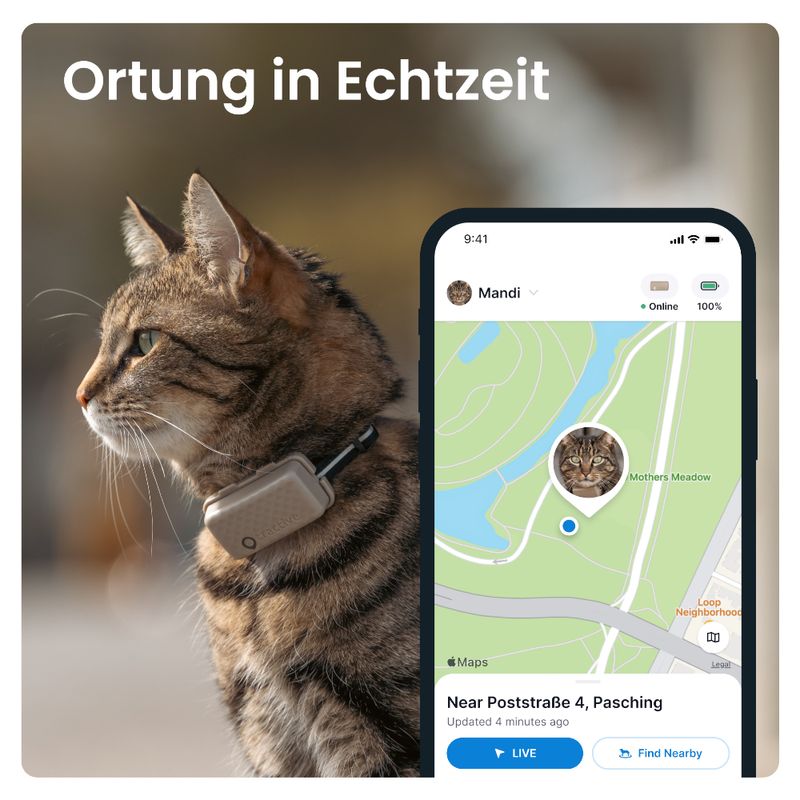 Tractive GPS Tracker für Katzen zu TOP-Preisen