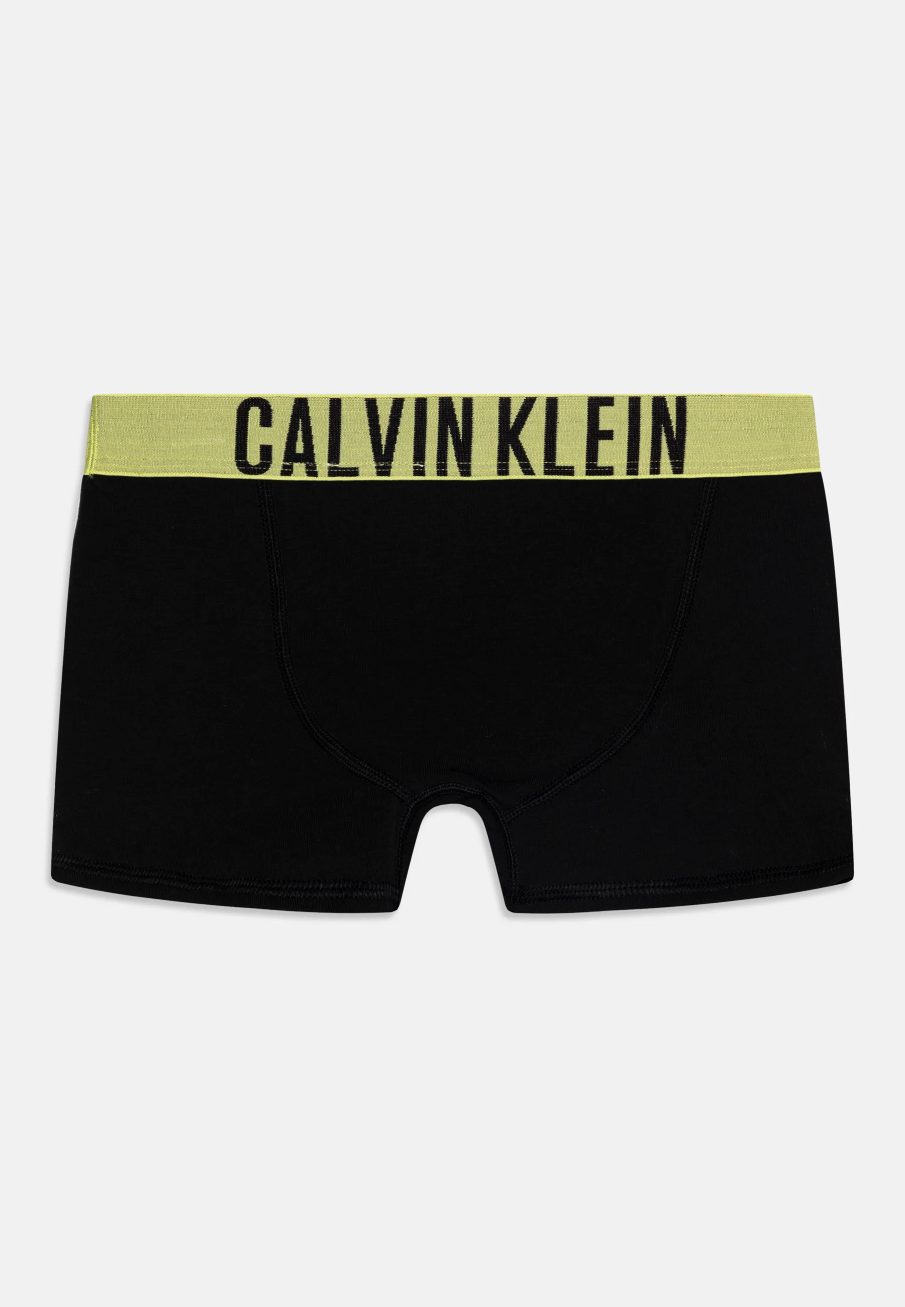 Calvin Klein Underwear TRUNK PACK DE 2 - Culotte
