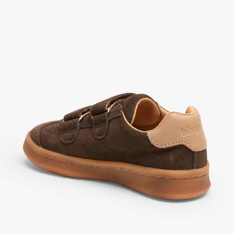 bay v dark brown - Braun