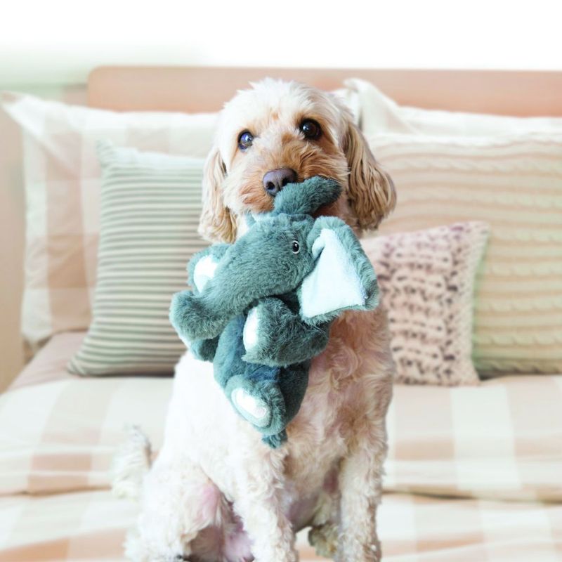 KONG Comfort Kiddos Elephant zu TOP-Preisen