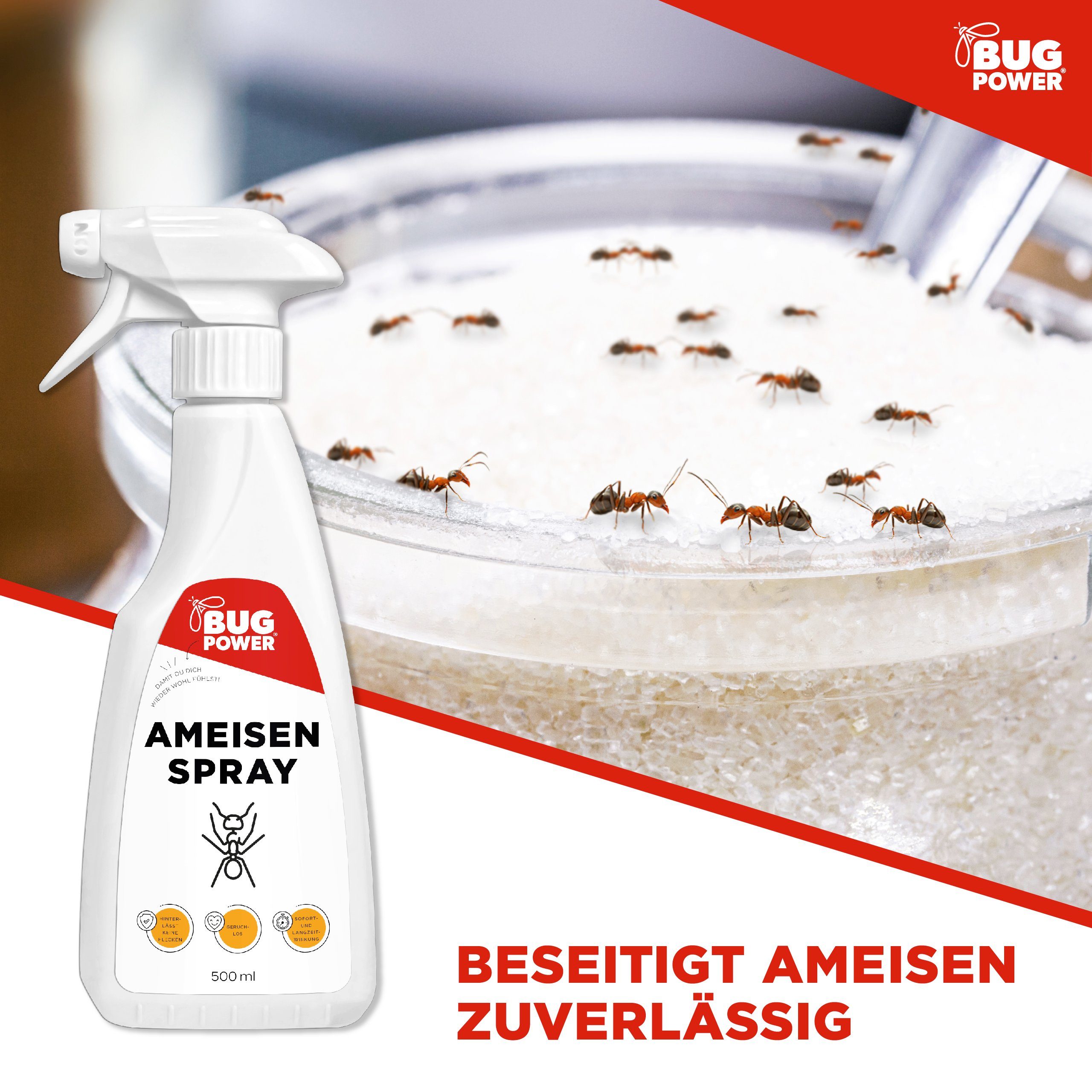 BugPower Insektenspray Ameisen Spray - effektiv gegen Ameisen, 500 ml, 1-St.