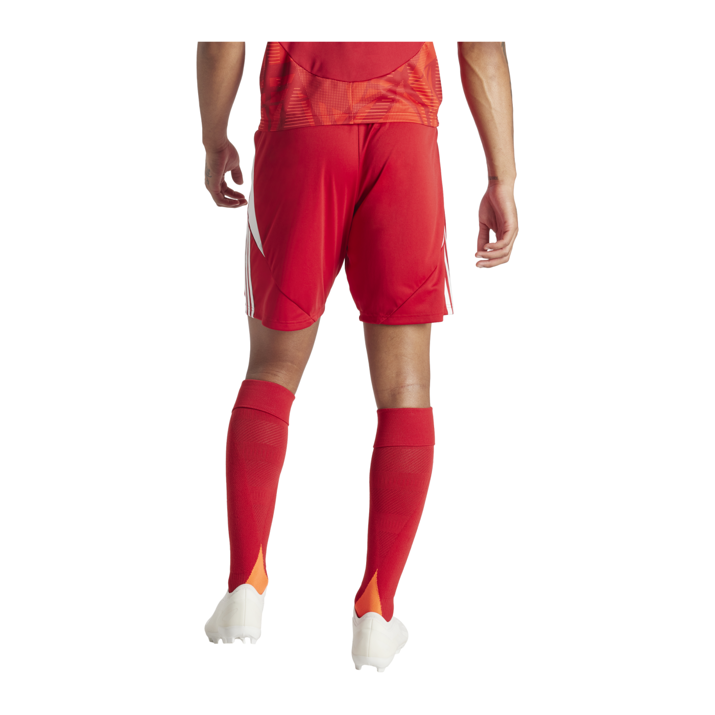 adidas Tiro 24 Short Rot Weiss