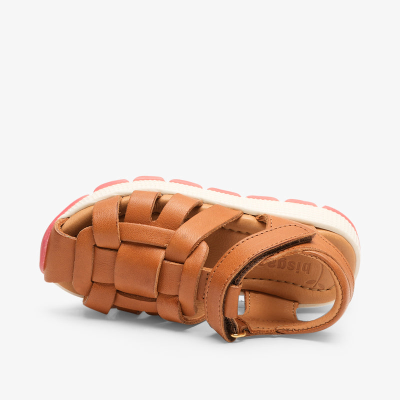 gry cognac - Braun