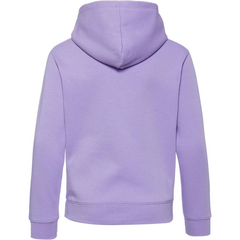CHAMPION LEGACY AMERICAN CLASSICS Hoodie Mdchen