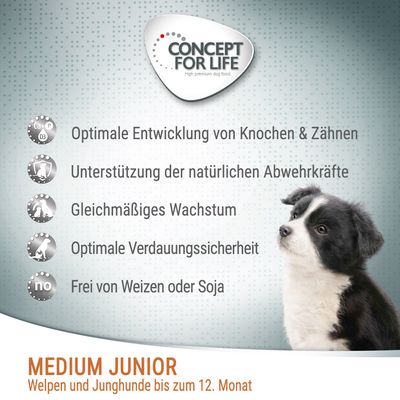 Concept for Life Medium Junior