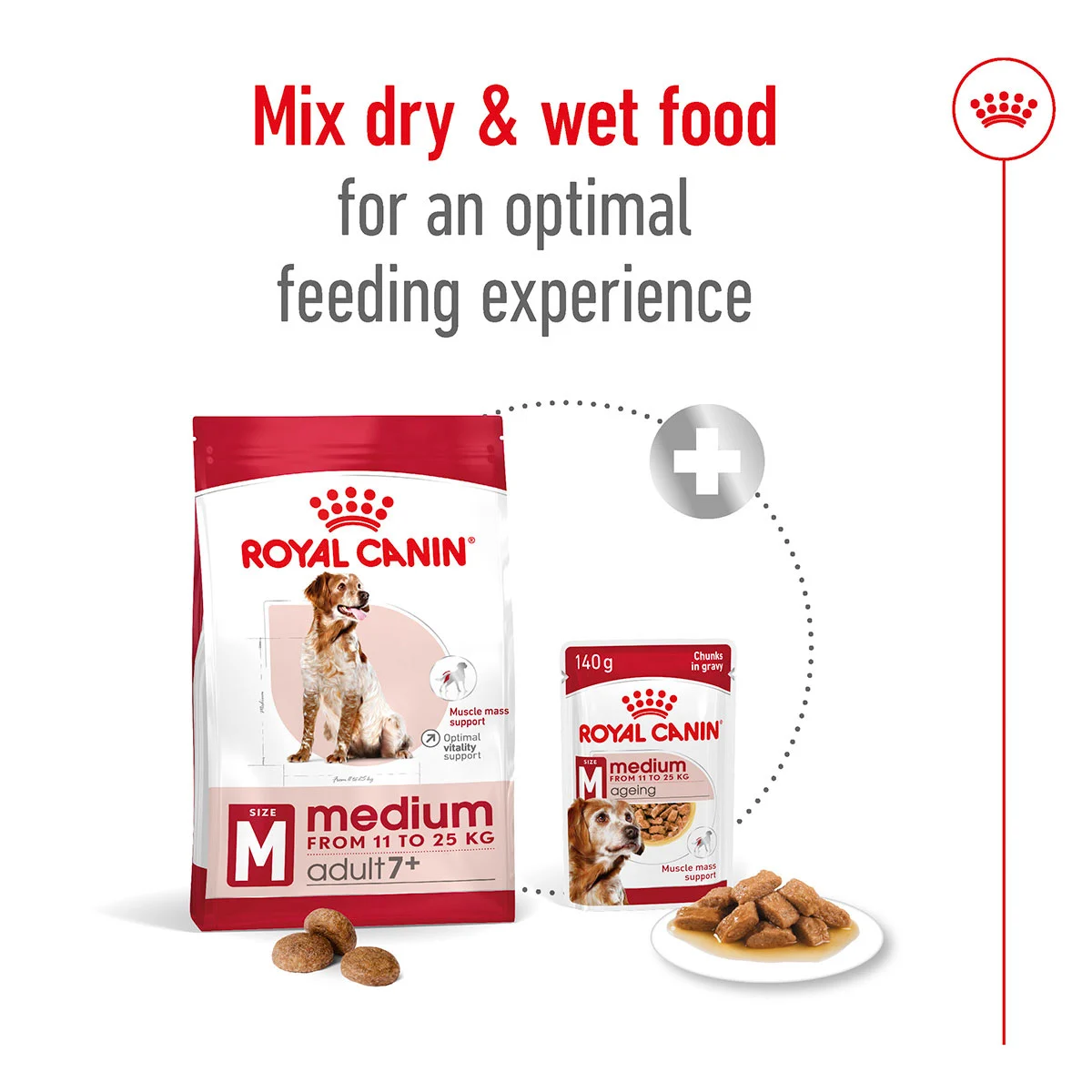 ROYAL CANIN MEDIUM Adult 7+ Trockenfutter für ältere mittelgroße Hunde