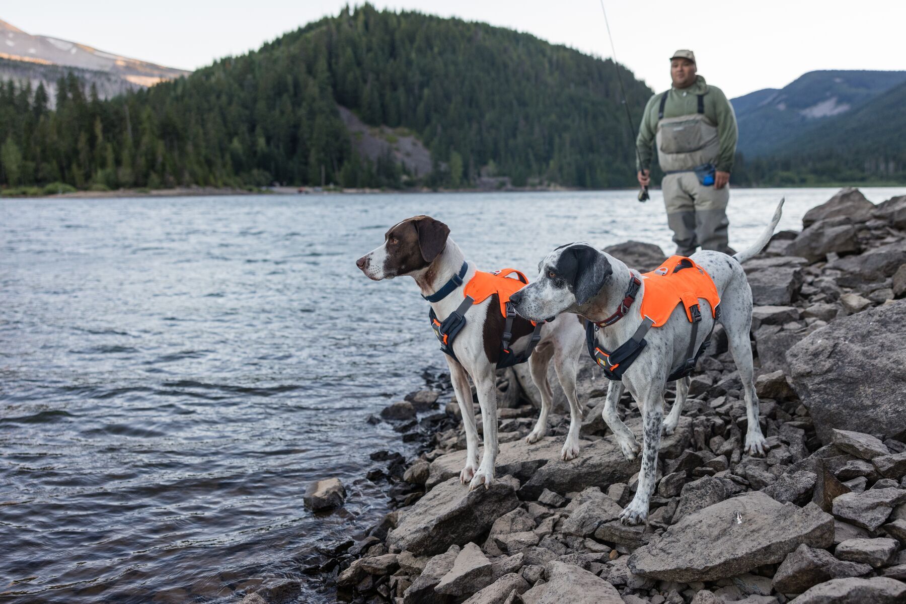 Ruffwear Hundegeschirre Ruffwear Brush Guard™ Geschirrzubehör M