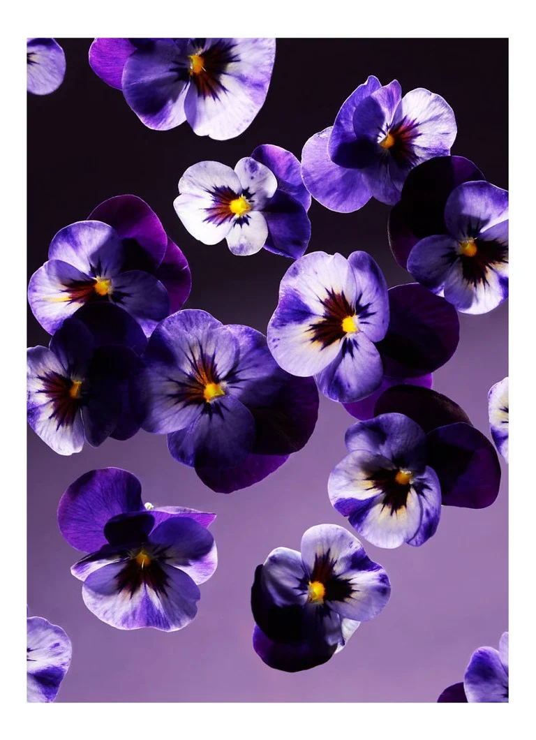 Balsam de mâini Rituals Smooth Violet Kitchen - balsam de mâini