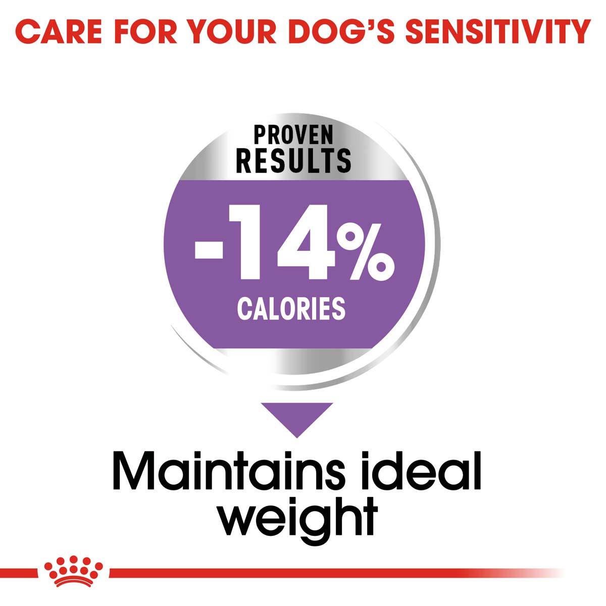 ROYAL CANIN STERILISED MINI 8kg + STERILISED Mousse 12x85g