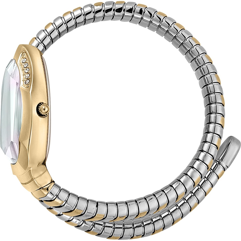 Just Cavalli Montre pour femme Acier inoxydable Montre