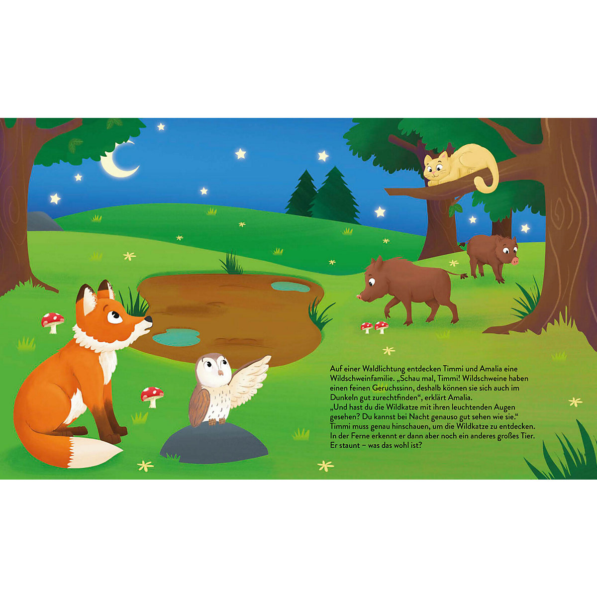Mit Timmi Fuchs bei Nacht im Wald (Mit UV-Licht-Taschenlampe)