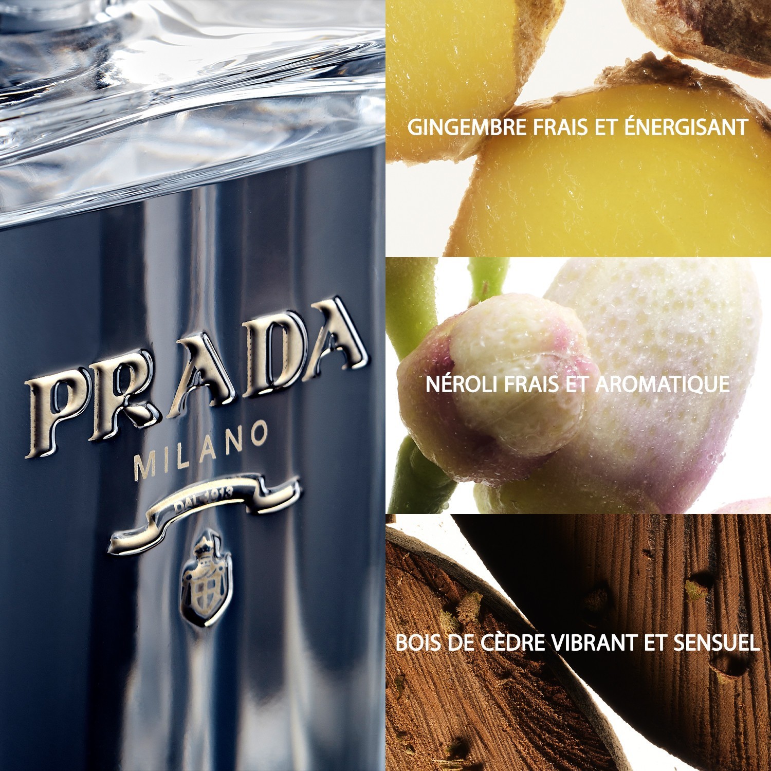 Prada L'Eau