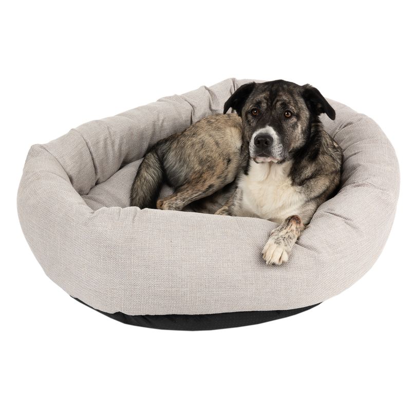 Modern Living Kuschelbett Bailey zu TOP-Preisen