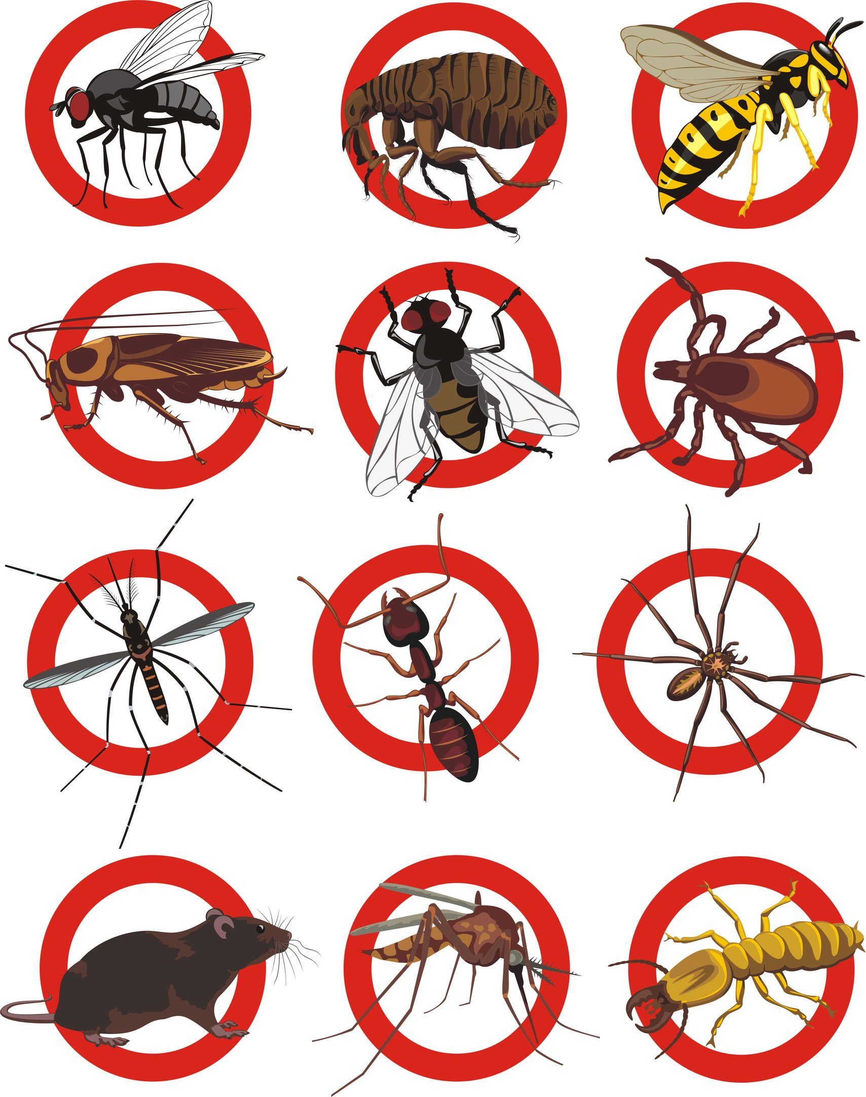 HaGa Insektenschutz-Vorhang Fliegengitter in 75cm Breite, schwarz, (Meterware) Moskitonetz