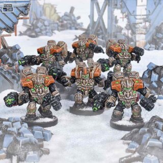 Hammerfist Drop Troop Team