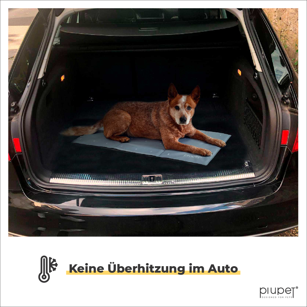 PIUPET Hundematten PIUPET Kühlmatte 50 cm, 2 cm, 2 cm