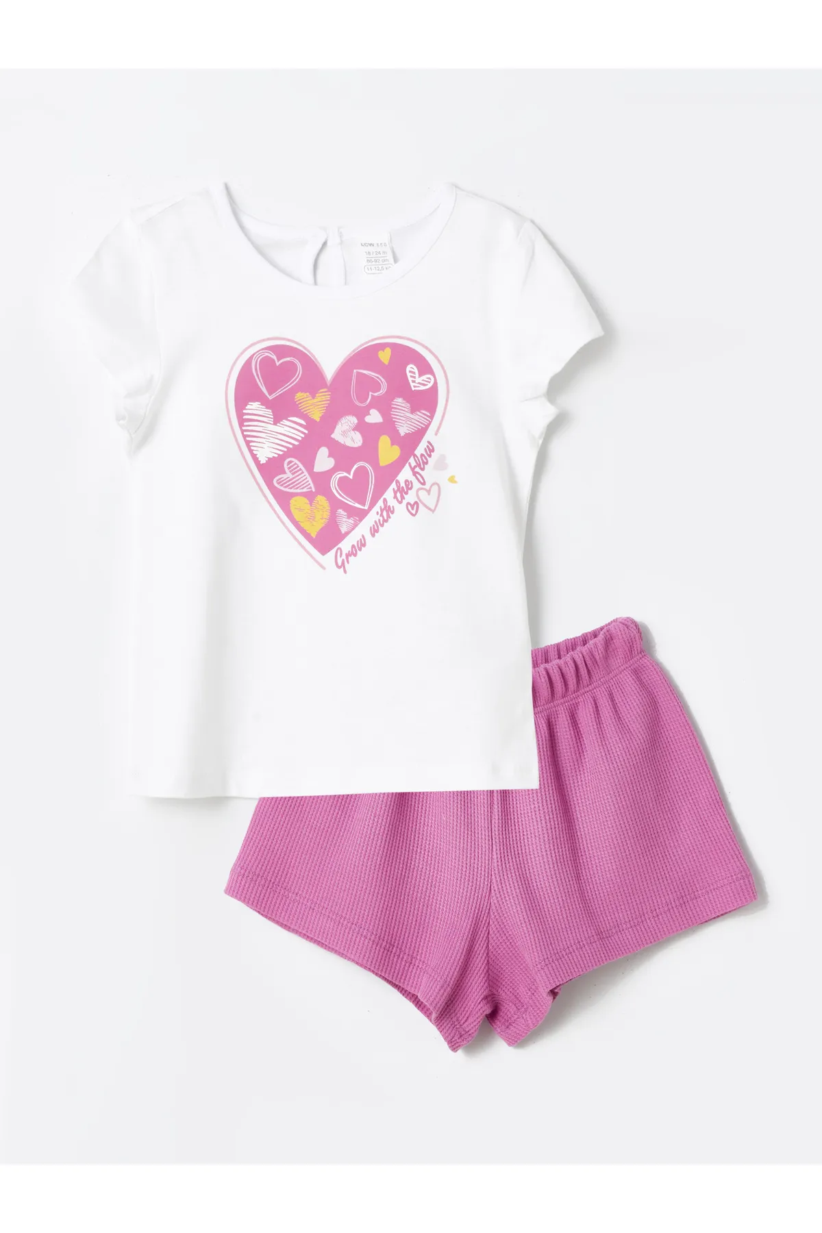 LC Waikiki  Bedrucktes T-Shirt und Shorts für Babys mit Rundhalsausschnitt, 2er-Set
