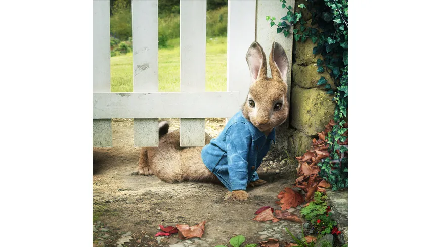 Peter Hase