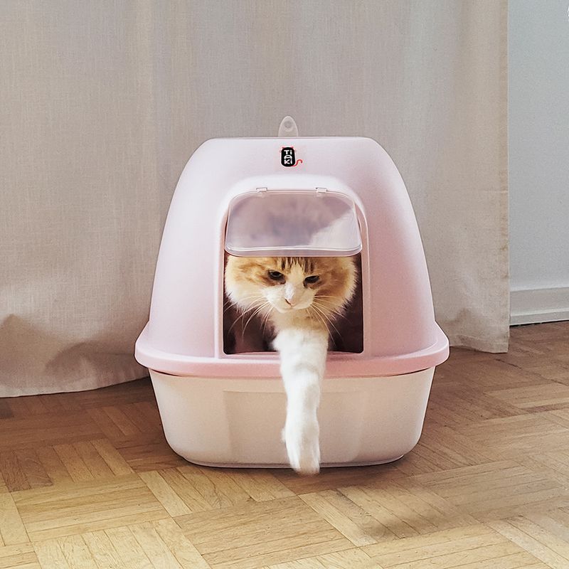 TIAKI Haubentoilette Pixie zu TOP-Preisen