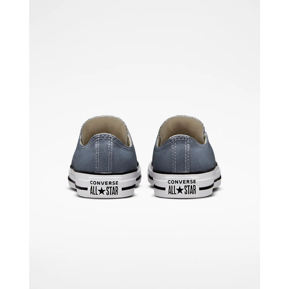 Converse Chuck Taylor All Star A02802C / grau