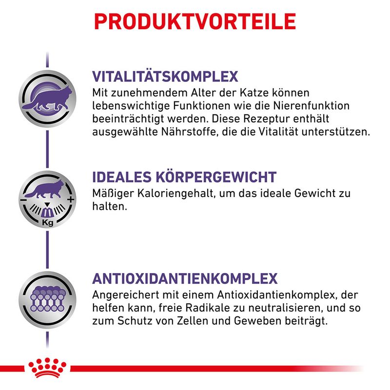 Royal Canin Expert Mature Consult Balance Mousse