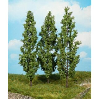 Pappeln 18 cm (3 Stk.)