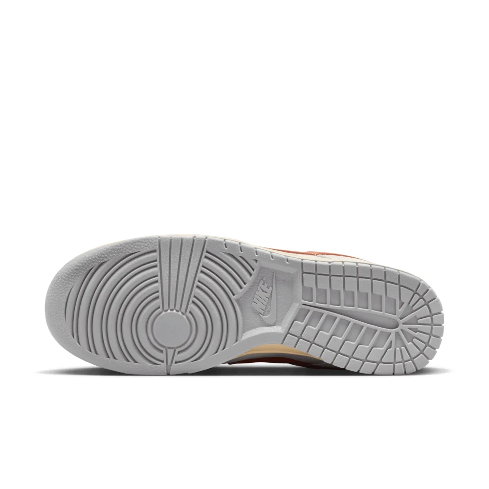 Nike Dunk Low FJ5429-133 / grau