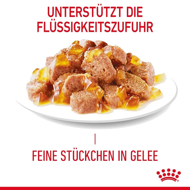 ROYAL CANIN Nassfutter ROYAL CANIN Hair & Skin 12x85g in Gelee