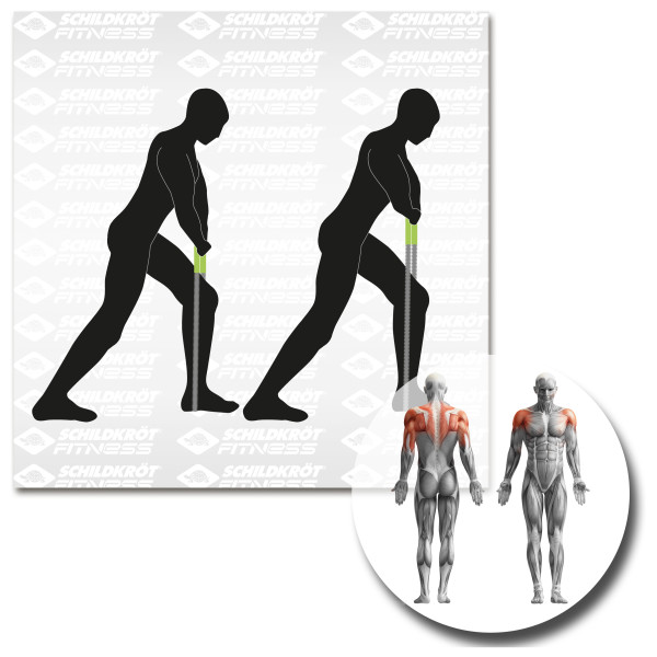 Schildkröt Fitness - Expander Set Pro - Expander