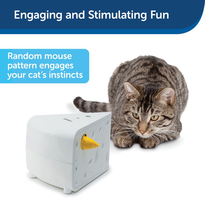 PetSafe Automatisches Katzenspielzeug Cheese