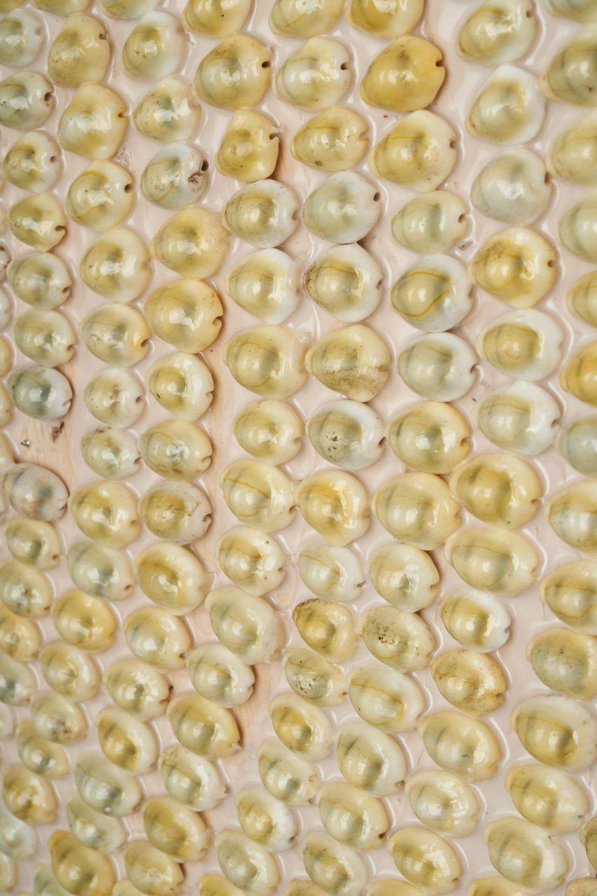 bhp Wandspiegel Muscheln