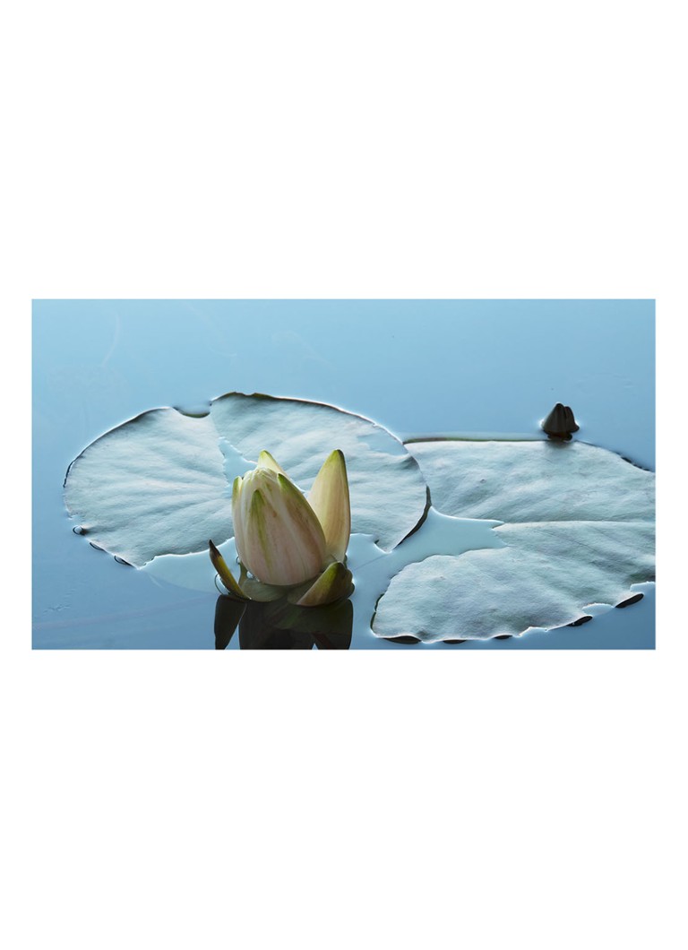 Apa de parfum Montale Herbal Aquatica