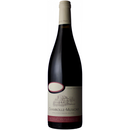 CHAMBOLLE MUSIGNY 2020 - DOMAINE ROBLOT MARCHAND & FILS