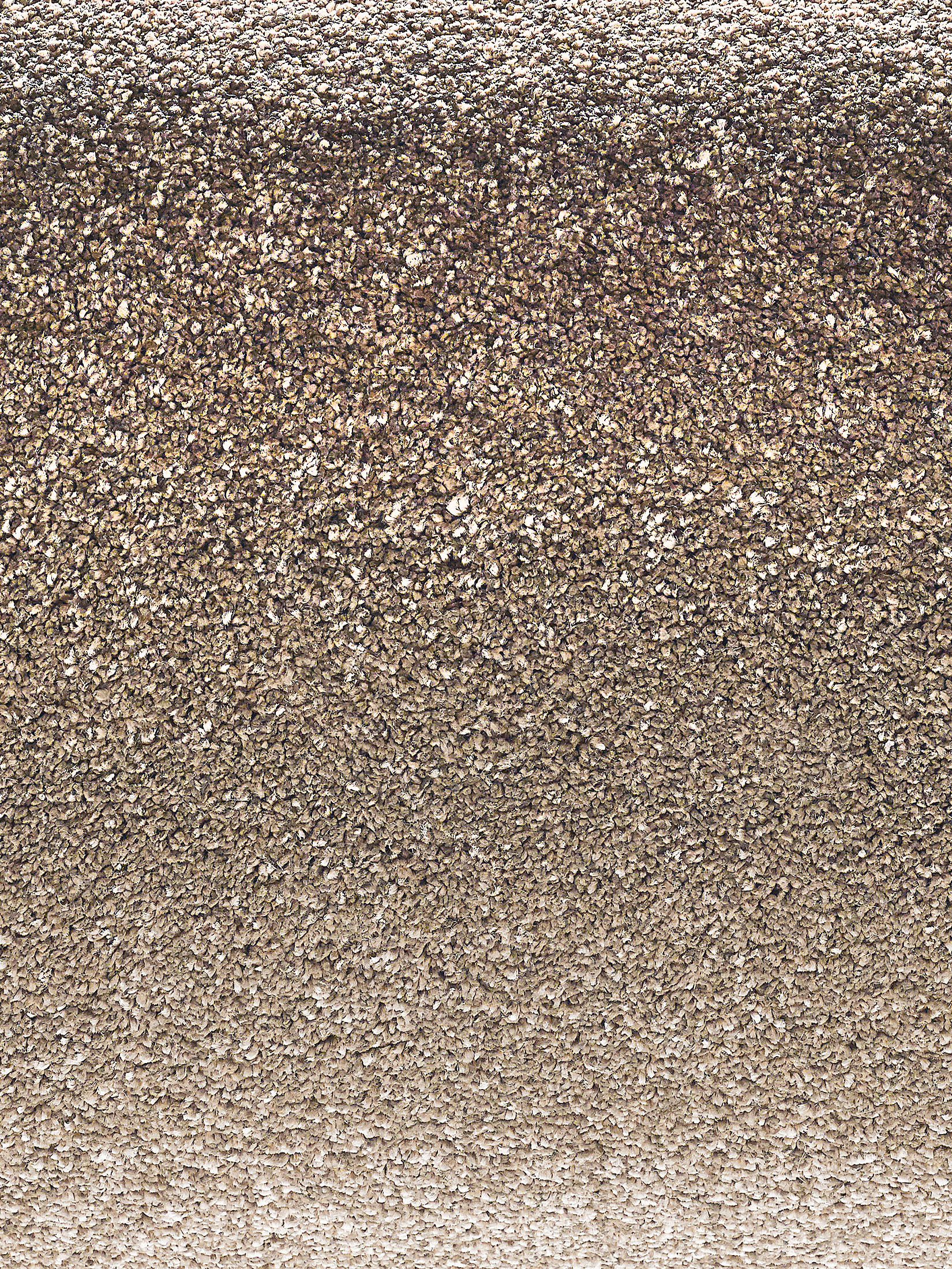 Sovereign Hochflor-Teppich, Savanne
