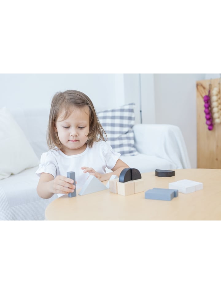 Plan Toys Essential Serie: Formen legen ab 18 Monate günstig kaufen onesize