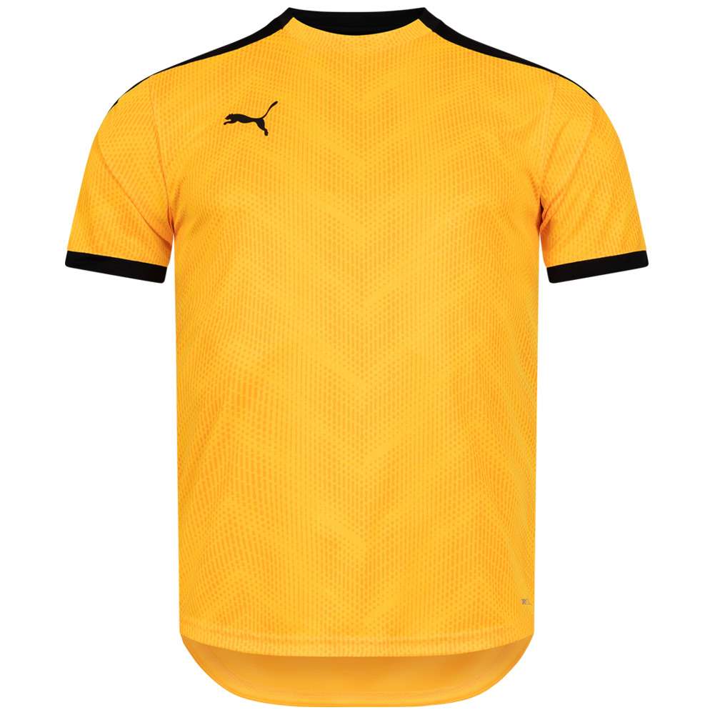 PUMA ftblNXT Graphic Shirt Herren Trikot 657007-04