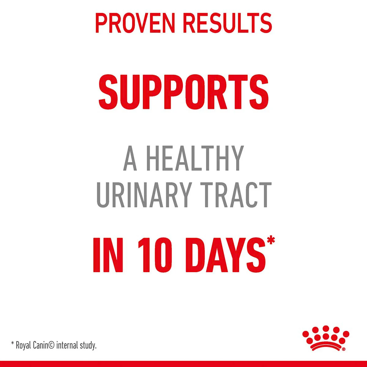 Royal Canin FCN Urinary Care Jelly günstig kaufen bei ZooRoyal