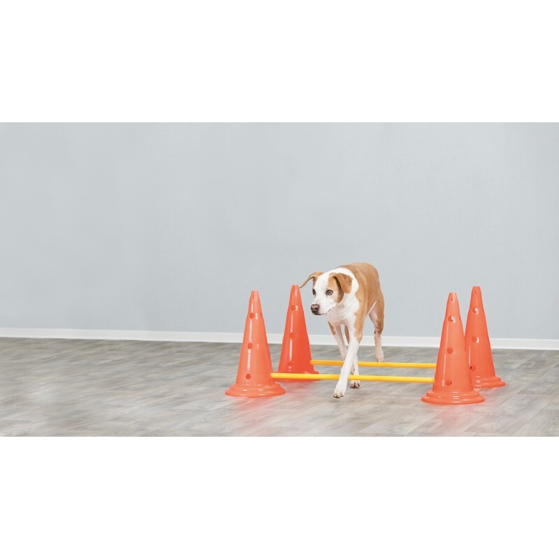 Trixie Agility & Training Trixie Dog Activity Hindernisse Ø30x50cm