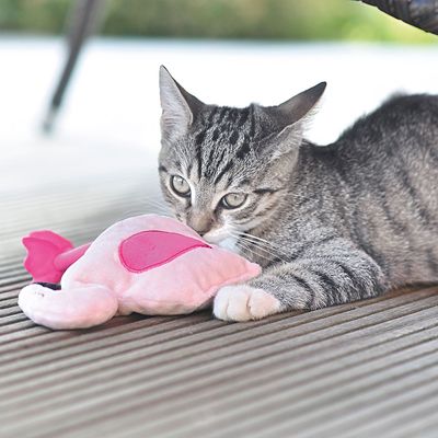 Aumüller Flamingo Pinky mit Baldrian und Dinkelspelz